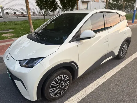 2024 BYD SEAGULL,autocango,china used car exporter,china ev exporter,chinese used car exporter,chinese used ev exporter
