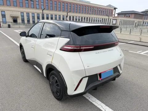 2023 BYD Seagull BEV 30.08KWH